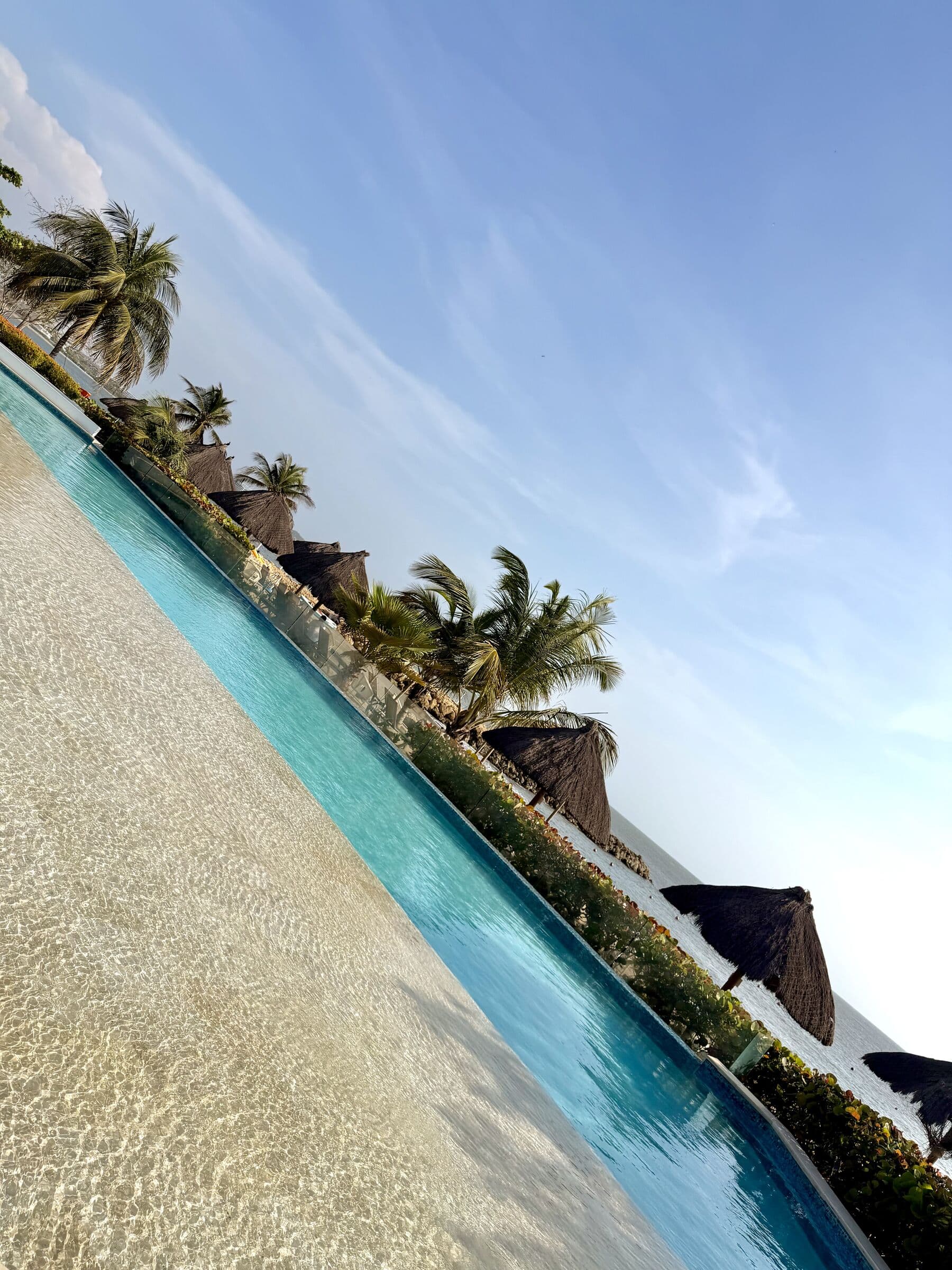 Infinity pool fringed by palms at golden hour — the Lotus Beach studio in Tulum
