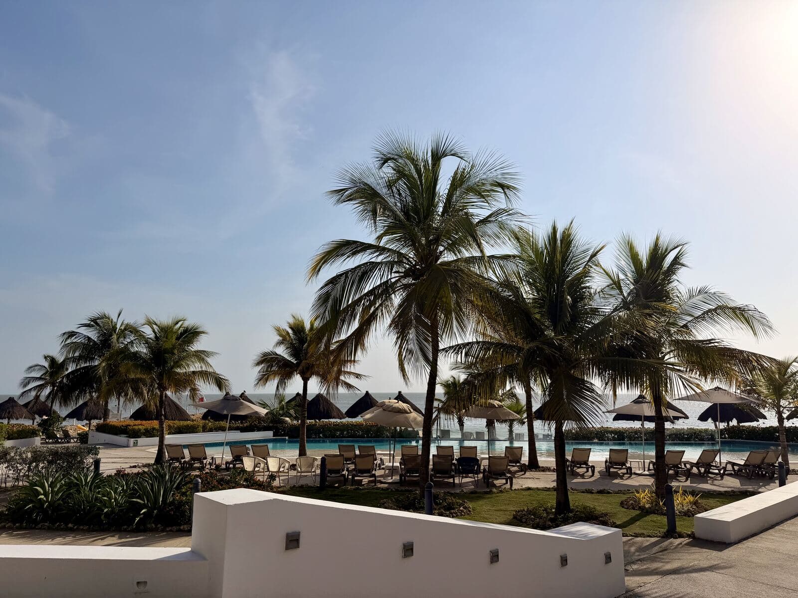 Palms over an infinity pool overlooking the Caribbean at Tulum